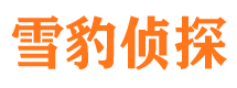 囊谦寻人公司